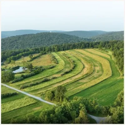 Aerial view of the Orvis property