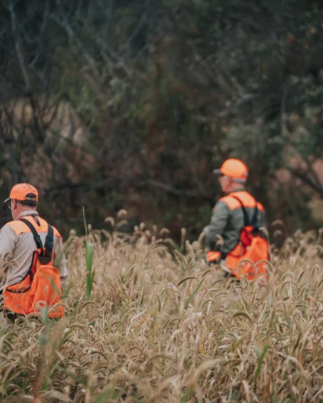 Upland Hunting